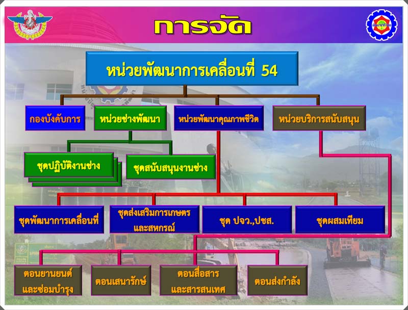 การจัด 54