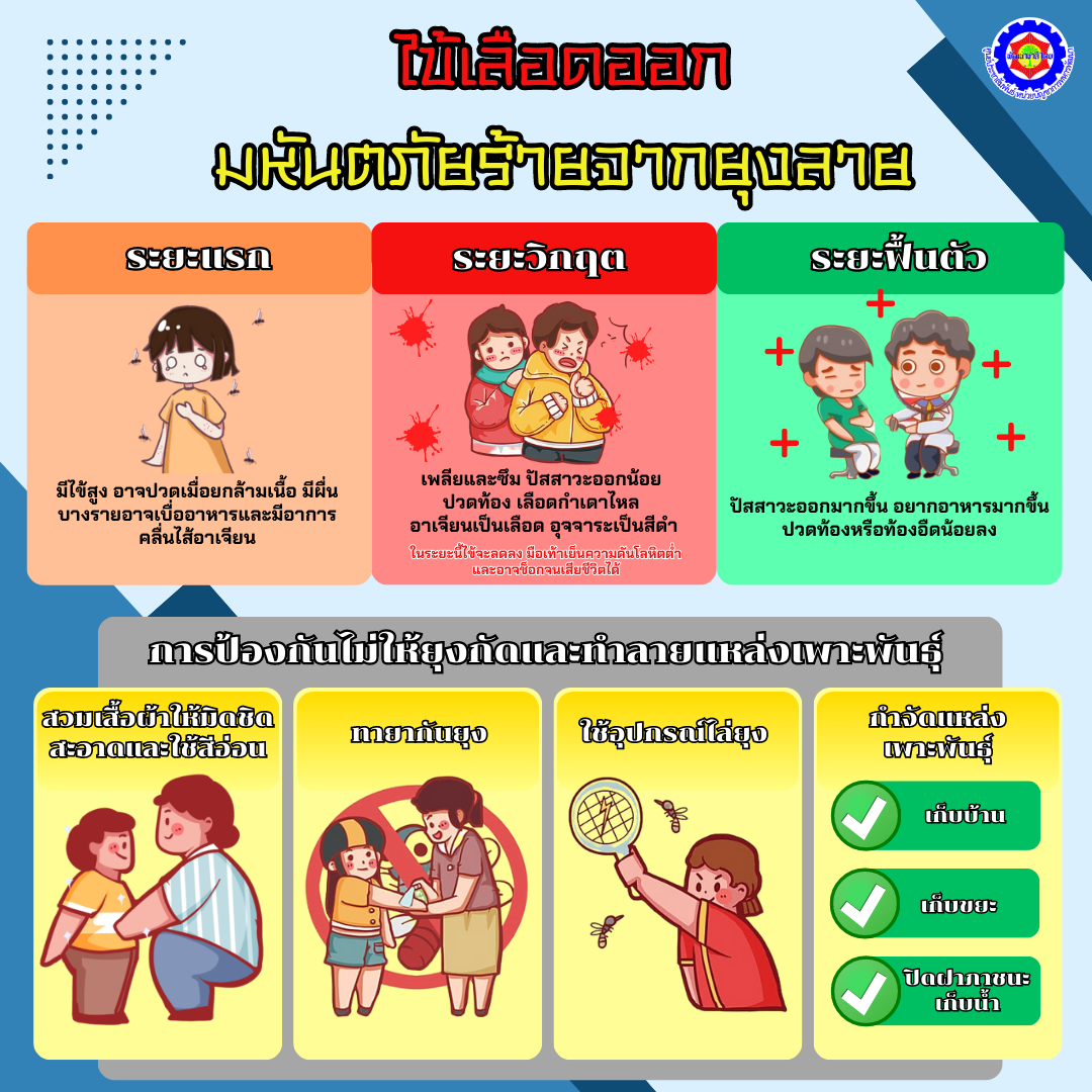 ไข้เลือดออก 1