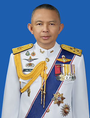 ผบนทพ.67 300